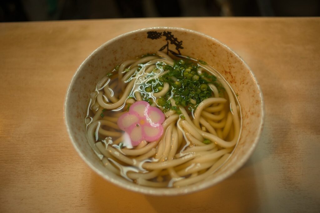 Top 10 Japanese Foods- Udon